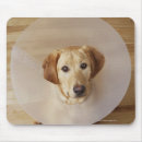Suche nach sorgfalt mousepads Zuhause