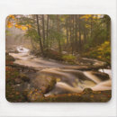 Suche nach folien mousepads Grün