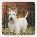 Suche nach wheaten terrier aufkleber Hunde