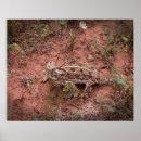 Suche nach eidechse poster Tier