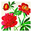 Suche nach vintage natur illustration poster Botanisch