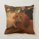 Suche nach der miezekatze kissen Feiertag