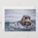 Suche nach sonstiges postkarten Meereslebewesen