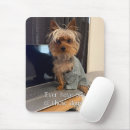 Suche nach yorkie mousepads Yorkshire terrier