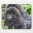 Suche nach berggorilla mousepads Wildtiere