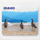 Suche nach gänse mousepads Kanadengas