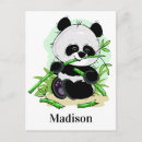 Suche nach niedliche panda postkarten Bamboo
