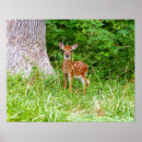 Suche nach wood poster Fotografie