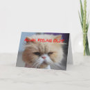 Suche nach persische karten Spaß