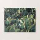 Suche nach kaktus puzzle Wüste