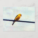 Suche nach goldfinch poster postkarten Natur