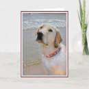 Suche nach labrador vatertagskarten Hund