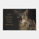 Suche nach lustige katzen türmatten Meme