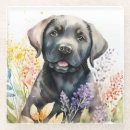 Suche nach schwarzer labrador untersetzer Retriever