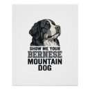 Suche nach berner sennenhund poster Hundeliebhaber