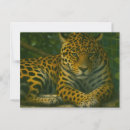 Suche nach leopard postkarten Große katze