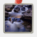 Suche nach fall ornamente Usa