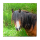 Suche nach ponys fliesen Niedlich