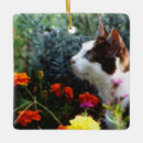 Suche nach bunte katzen ornamente Blume
