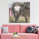 Suche nach bussard Wildtiere