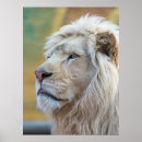 Suche nach jungle poster Wohngestaltung