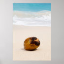Suche nach kokosnuss poster Reise