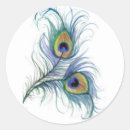 Suche nach peacock aufkleber Pfau