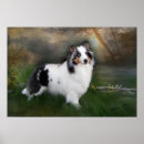Suche nach sheltie poster Tiere