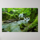 Suche nach harmonie kunst poster Natur