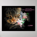 Suche nach gato poster Cat
