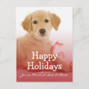 Suche nach golden retriever welpe postkarten Vertikal