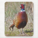 Suche nach fasan mousepads Vögel