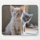 Suche nach mit blauen augen mousepads Grau