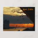 Suche nach miami postkarten Sonnenaufgang