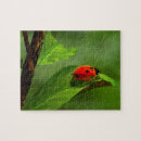 Suche nach ladybug puzzle Natur
