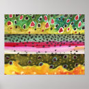 Suche nach forelle poster Fliegenfischen