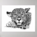 Suche nach schwarzer jaguar poster Wild lebende tiere