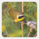 Suche nach männchen aufkleber Fauna