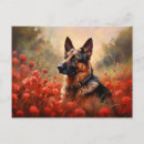 Suche nach schäferhunde postkarten Gsd