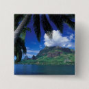 Suche nach cook buttons Landschaft
