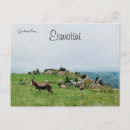 Suche nach swasiland postkarten Ewatini