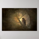 Suche nach falke poster Natur