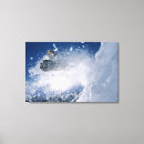 Suche nach snowbird poster Springend
