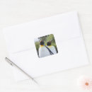 Suche nach der pinguin bastel zubehör Vogelvogel