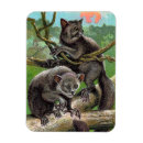 Suche nach madagaskar magnete Wildtiere