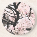 Suche nach cherry blossom untersetzer Blume