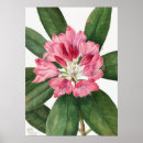 Suche nach vintage flower poster Floral