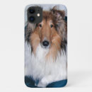 Suche nach collie iphone hüllen Rau