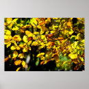 Suche nach hintergrundbeleuchtung poster Grün