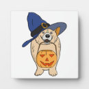 Suche nach hexen fotoplatten Hund